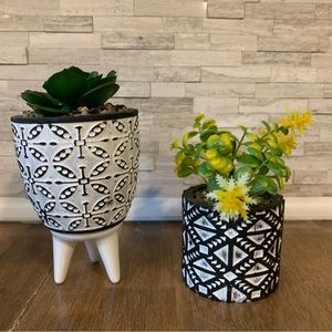 Artificial Succulents - set of 2.